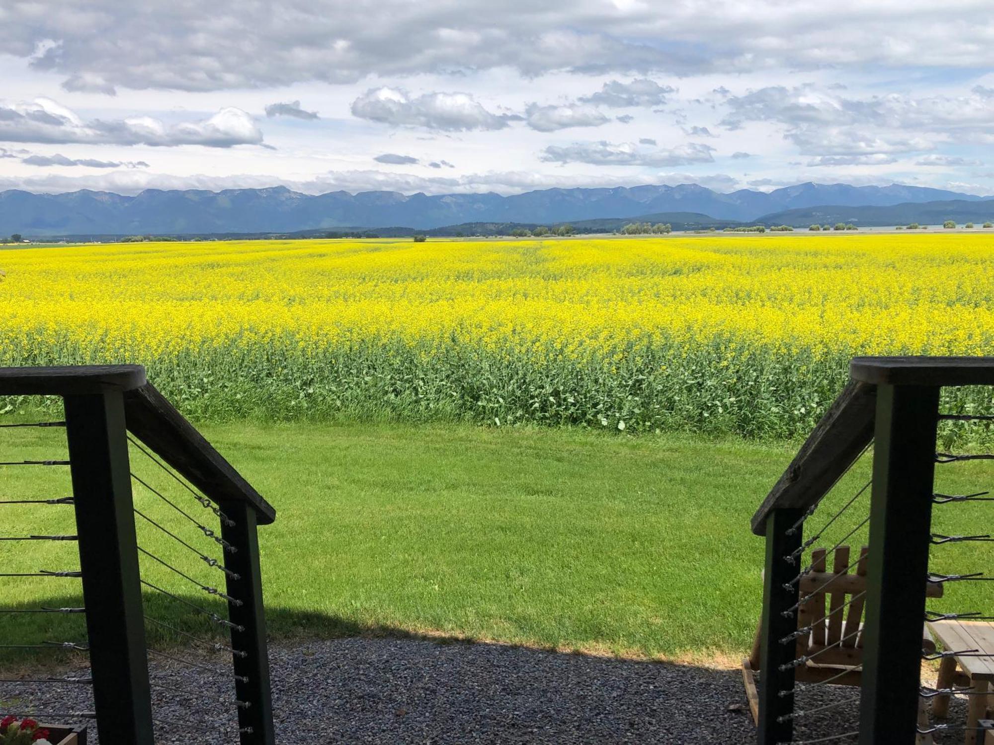 Somers New Cabin With Spectacular Views Of Flathead Lake. מראה חיצוני תמונה
